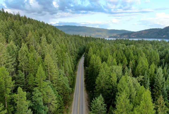 Idaho